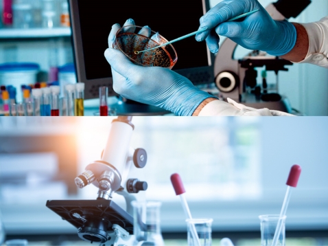 Inhouse Diagnostics Center